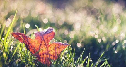 珍惜那個,遷就你的人