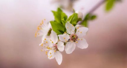 最好的關(guān)系,是不怕麻煩