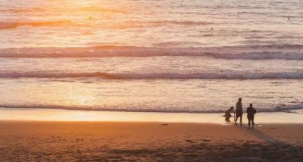 感情再深,也經不起你的冷漠