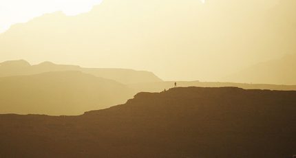 我過得還可以,可惜再也沒有你