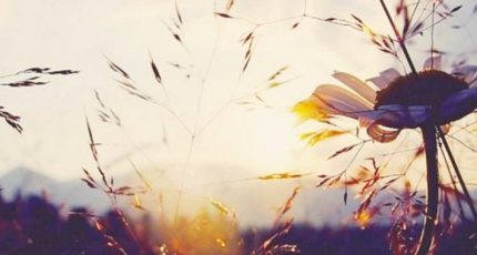 來不及認真年輕,那就認真地老去