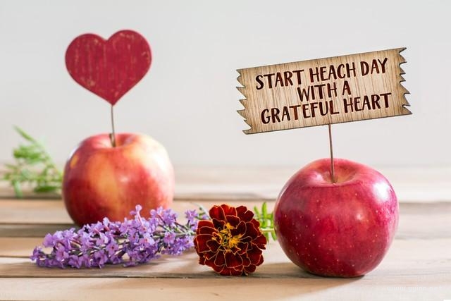 感恩有你的句子暖心說說（發朋友圈感恩的句子）