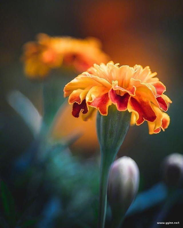 佛說人生感悟的句子短句（發朋友圈禪意的句子）