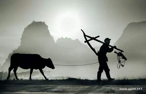 《活著》余華經(jīng)典語(yǔ)錄（余華語(yǔ)出驚人的句子）