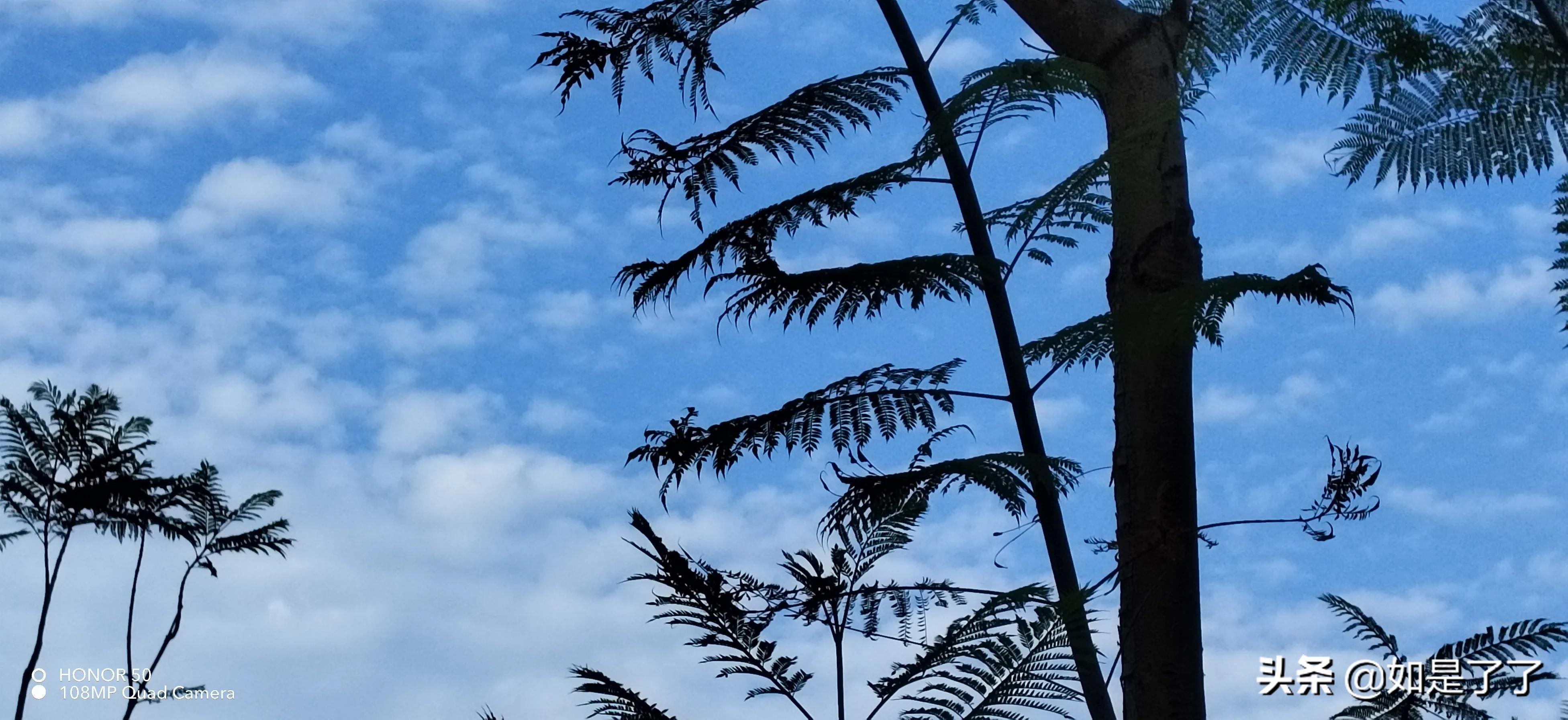 人生過半,極簡生活,喜已所喜