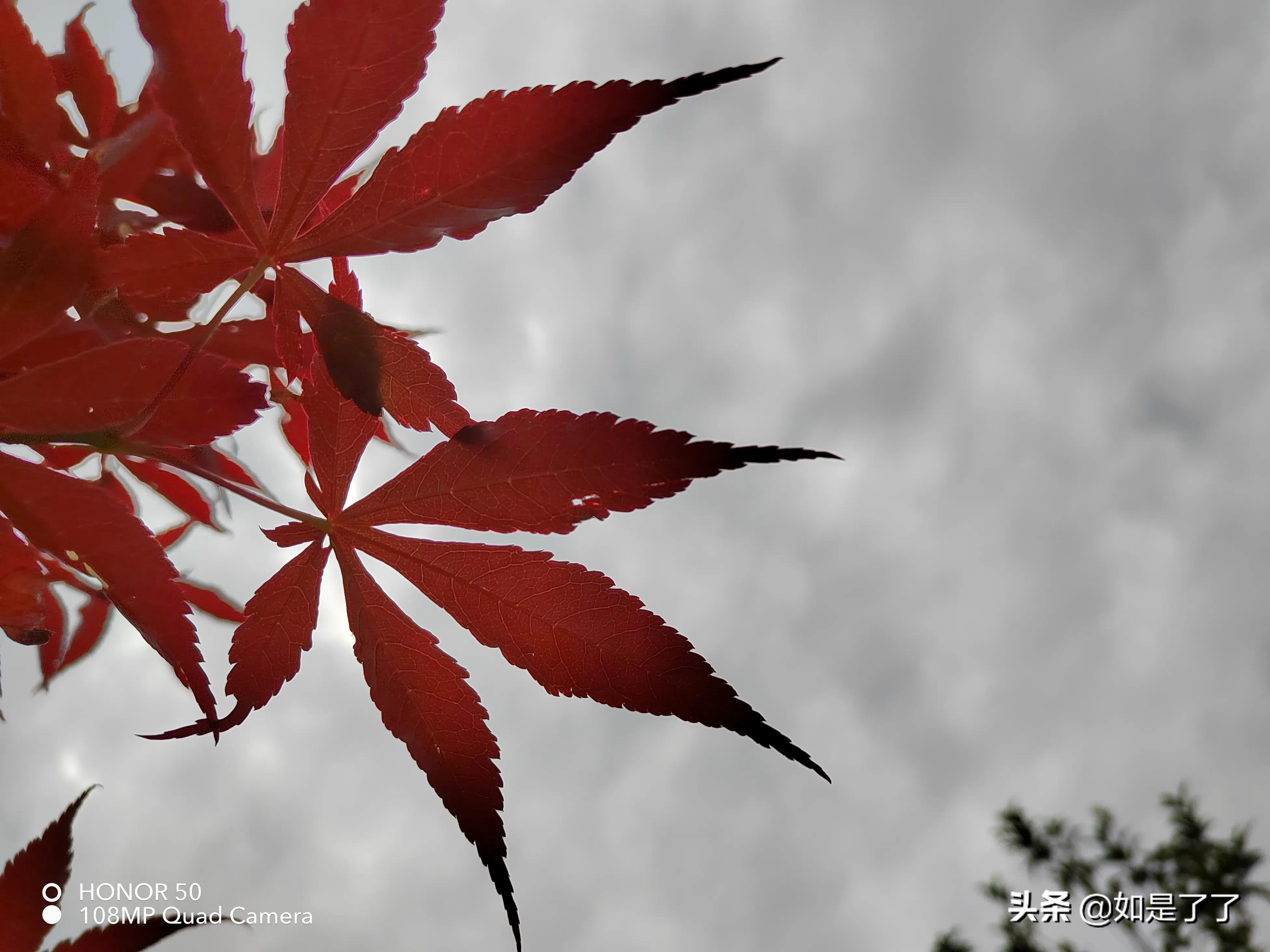 人生過半,極簡生活,喜已所喜