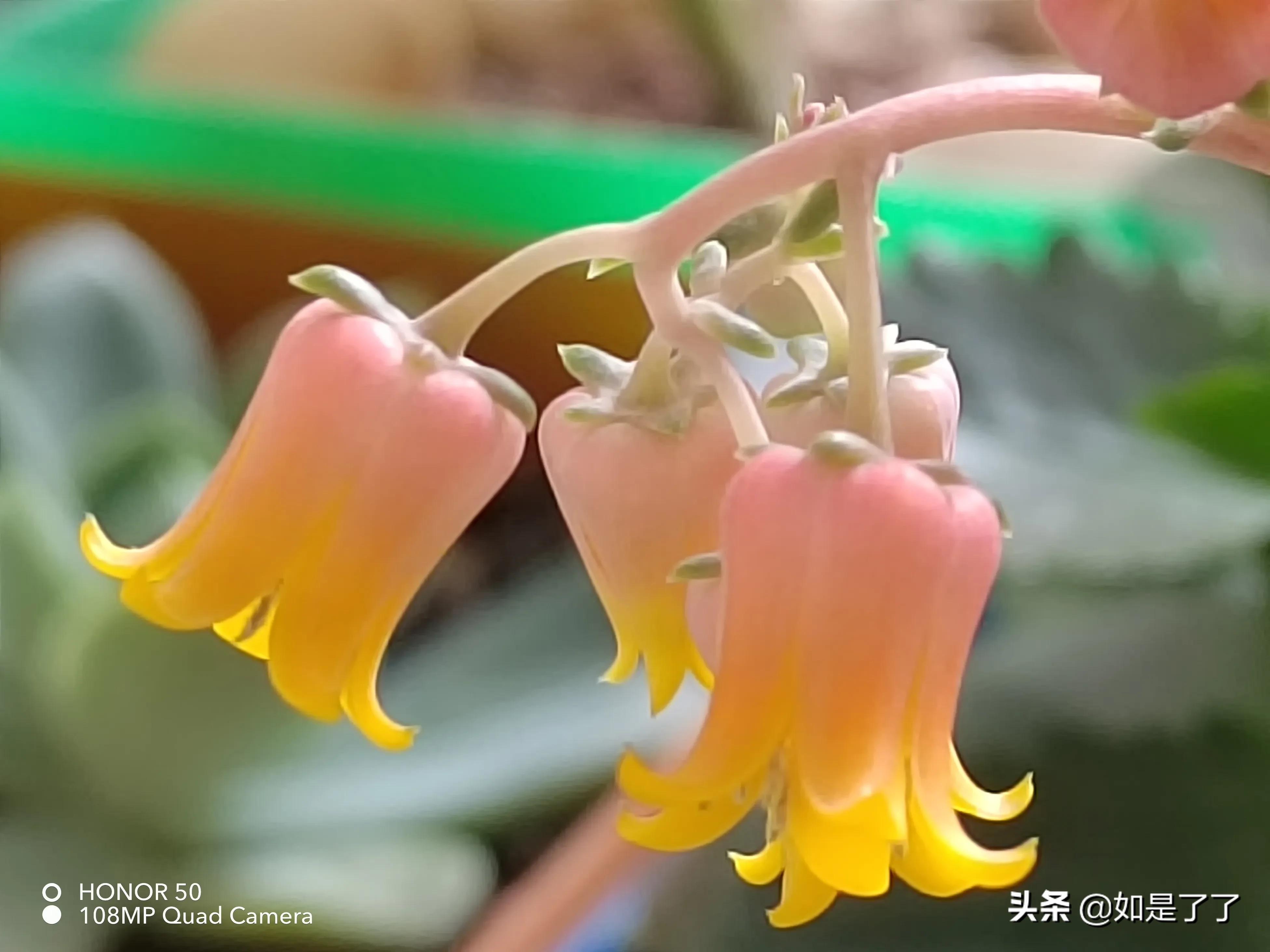 人生過半,極簡生活,喜已所喜