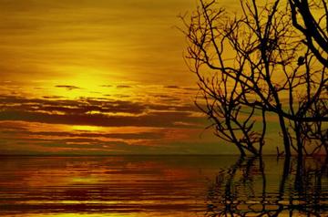 離奇情感故事：七情六欲交錯，夢與幻、虛妄與真實的羅生門