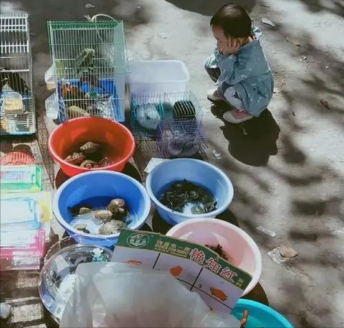 02年女兒放學喊陌生男子爸爸，一查DNA，竟是失散半世紀的親叔叔-圖2