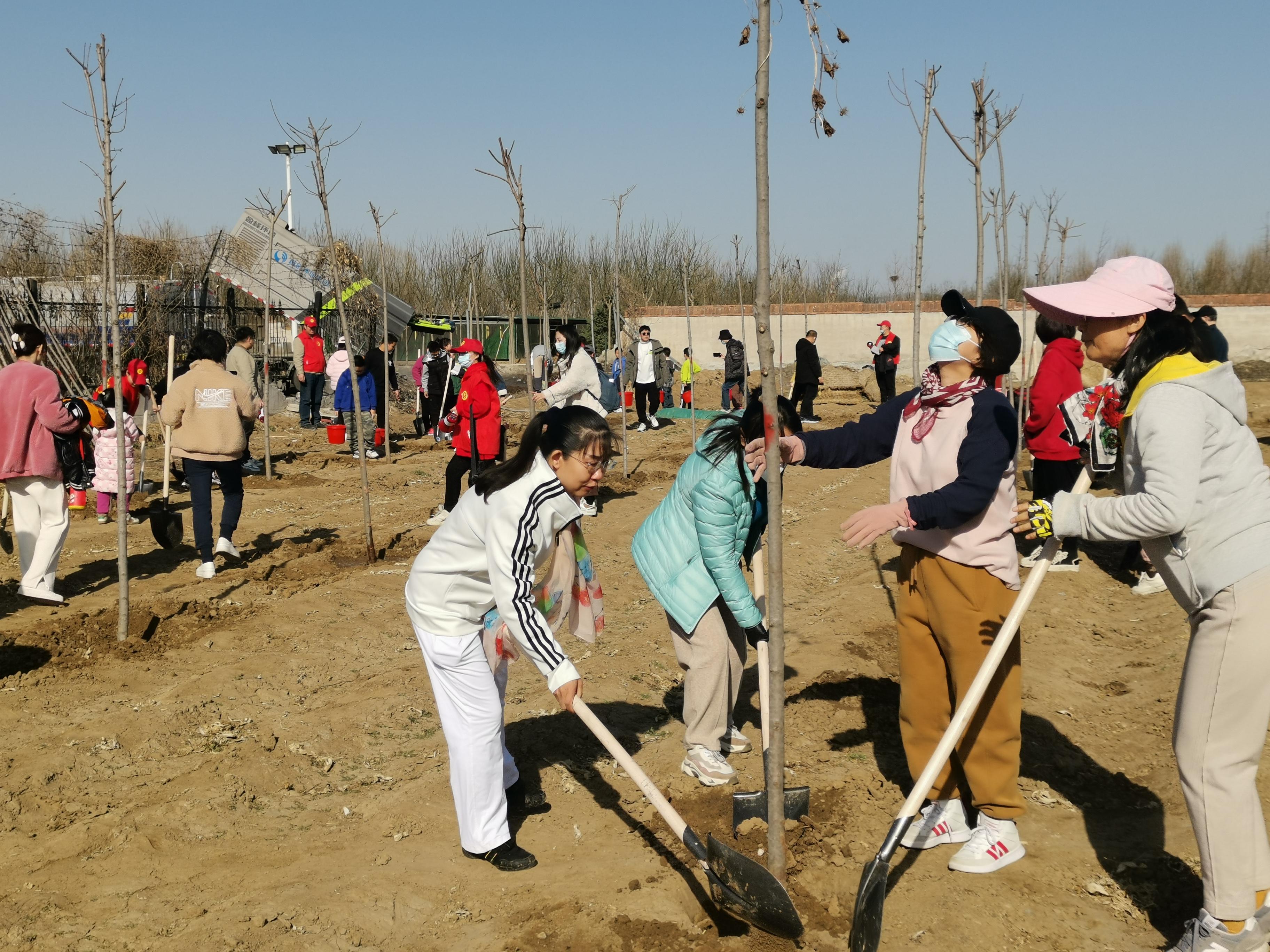 擁抱春天，播種綠色，放飛希望——三河市開展3·12植樹活動-圖2