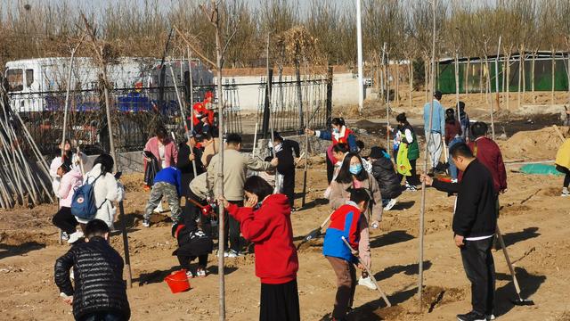 擁抱春天，播種綠色，放飛希望——三河市開展3·12植樹活動-圖1