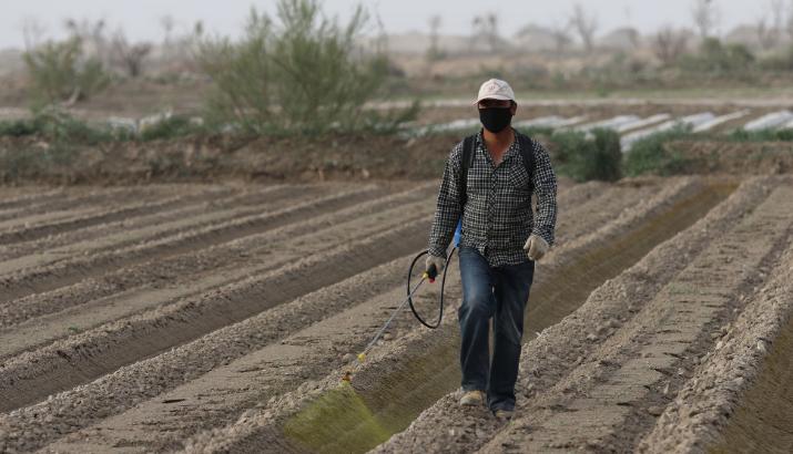 60歲以上農民工全部清退？中央一號文件：5個方面保證農民權益-圖4