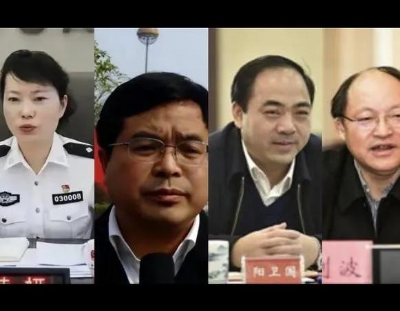 落馬市長陽衛國“太子奶冤案”5人組成員，三兄弟和兒子一起被捕-圖2